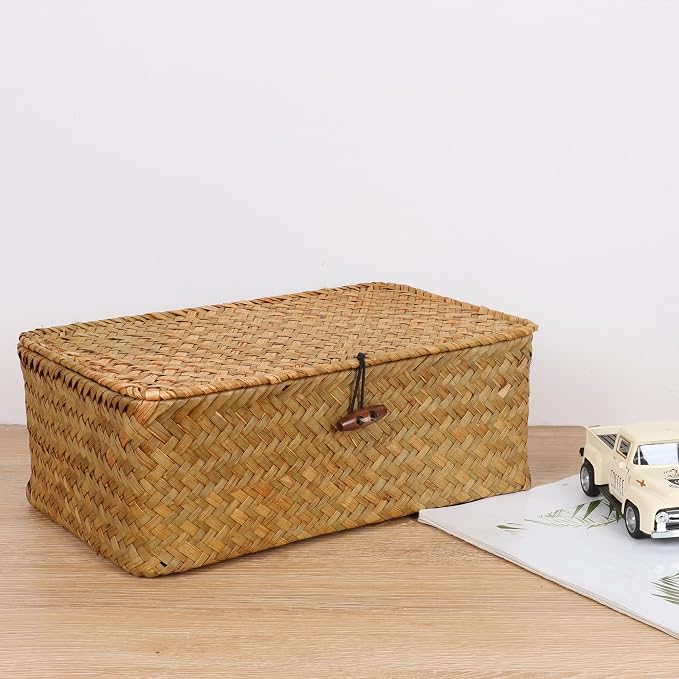 FEIALNDUO Wicker Shelf Baskets with Lid,Seagrass Storage Basket Bins Rectangular Handwoven Basket Boxes for Shelves Desktop Home Organizer (Natural, Small)