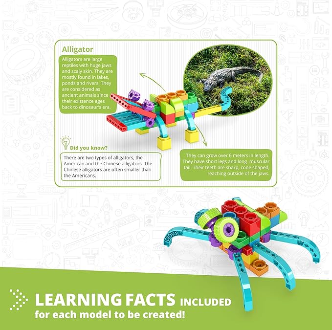 Engino QBOIDZ, Alligator Adventure, Building Blocks for Ages 3+, STEM Kit, Preschool Educational Toys for Kids, Engaging Kids Learning, Montessori Toys for Boys & Girls (5 Models)