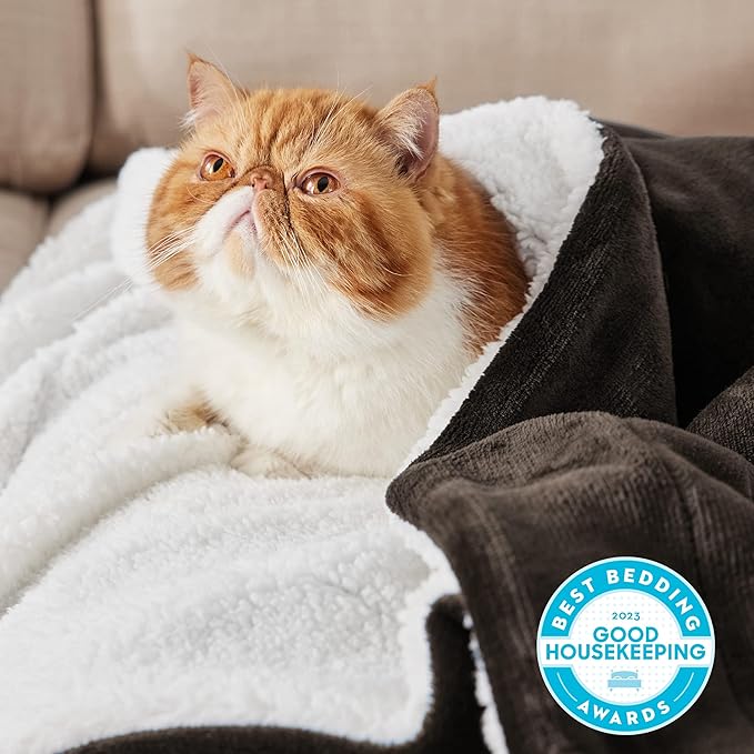 Bedsure GentleSoft Sherpa Fleece Throw Blanket for Couch, Non-Heated, Thick and Warm Throw for Women and Men, Soft Fuzzy Plush Blanket for Winter, Brown, 50x60 Inches