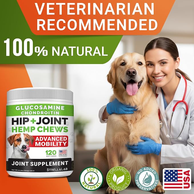 Large Breed Hemp + Glucosamine Dog Joint Supplement - Hemp Chews for Dogs Hip Joint Pain Relief - Omega 3, Chondroitin, MSM - Advanced Mobility Hemp Oil Treats for Large Dogs - Made in USA - 240 Ct