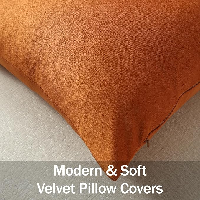 Throw Pillow Covers 20x20 Orange: Pack of 2 Cozy Soft Velvet Square Modern Luxury Decorative Throw Pillow Cases for Sofa Couch Living Room Bed Home Decor