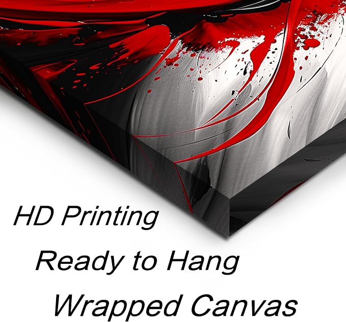Black and White Red Large Canvas Wall Art for Living Room Framed Print Picture Painting Bedroom Office Wall Decor Modern Room Abstract Wall Decorations Artwork Size 20x40 Ready to Hang