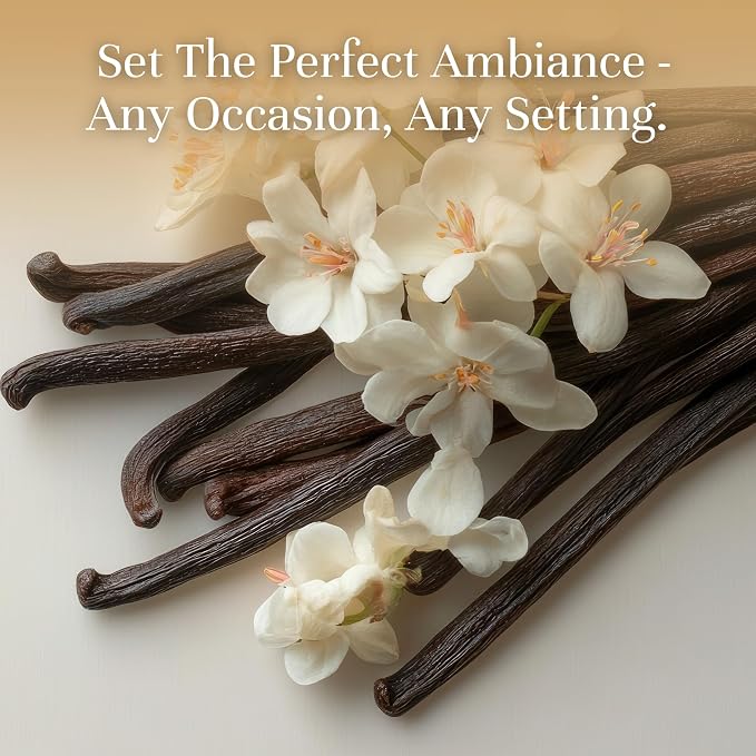 P&J Trading Fragrance | Vanilla Bean Oil 30ml - Candle Scents for Candle Making, Freshie Scent, Soap Making Supplies, Diffuser Oil Scents