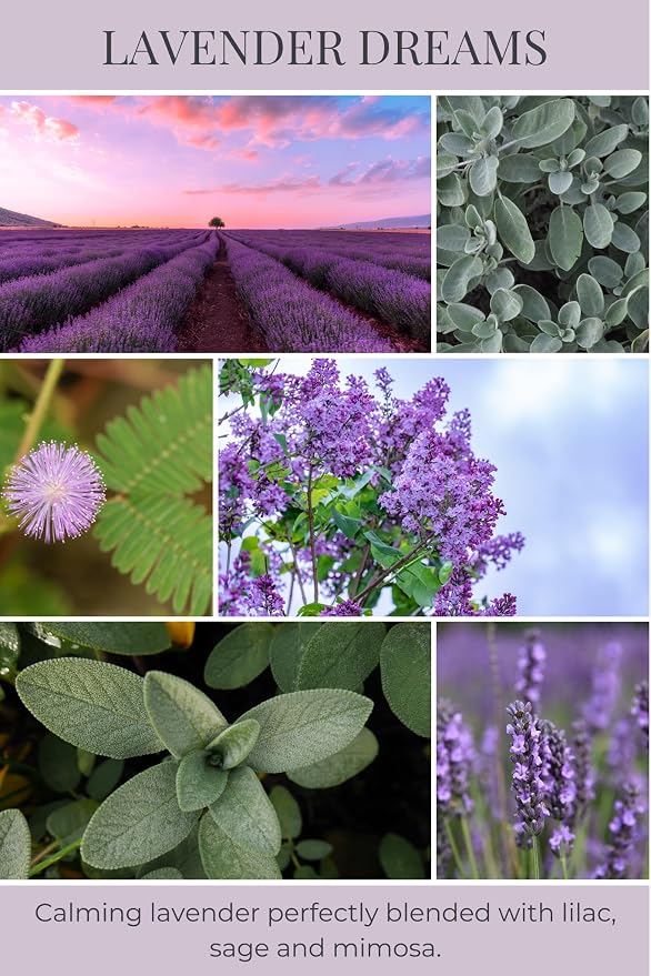 Eco Candle Co. Lavender Dreams Tea Light Candles, 10-Pack, 9 Hr Burn Time | Scents of Lavender, Lilac, Sage, & Mimosa - Recyclable, No Lead, Hand Poured, Made from Midwest Grown Soybeans, .6 oz. Ea