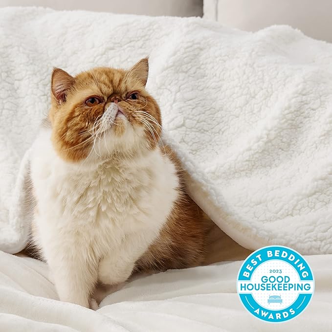 Bedsure GentleSoft Sherpa Fleece Blankets King Size for Bed, Non-Heated, Thick and Warm Throw for Women and Men, Soft Fuzzy Plush King Blanket for Spring, Cream, 108x90 Inches