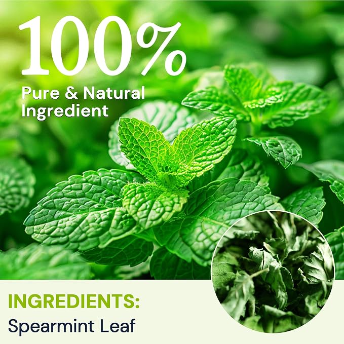 Spearmint Leaf Herbal Tea - Caffeine Free, 40 Tea Bags