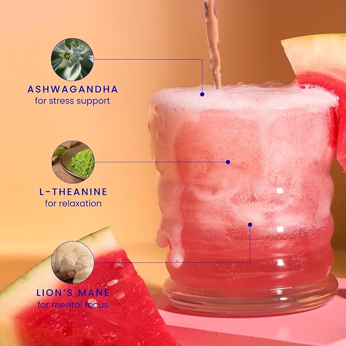 Mingle Mocktails Watermelon Spritz Nootropic Non Alcoholic Drinks with Ashwagandha, L-Theanine, Lion's Mane, Adaptogens, Alcohol Alternative Pre-Mixed Mocktails, Gluten Free Vegan, 12 Pack 12 fl oz