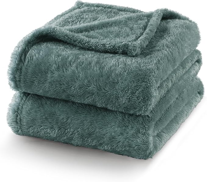 Exclusivo Mezcla Fuzzy Plush Fleece Bed Blanket Twin XL Size, Celadon | 90x66 Inches, Super Soft and Cozy Bed Blanket, Fluffy Blanket for Bed, College Dorm Room Essentials, All Season