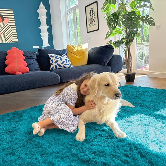 OLANLY 5x7 Machine Washable Large Area Rugs for Living Room, Bedroom, Soft Fluffy Shaggy Bedside Rug, Indoor Floor Carpet for Kids Girls and Boys, Dorms, Nursery, Home Decor Aesthetic, Teal