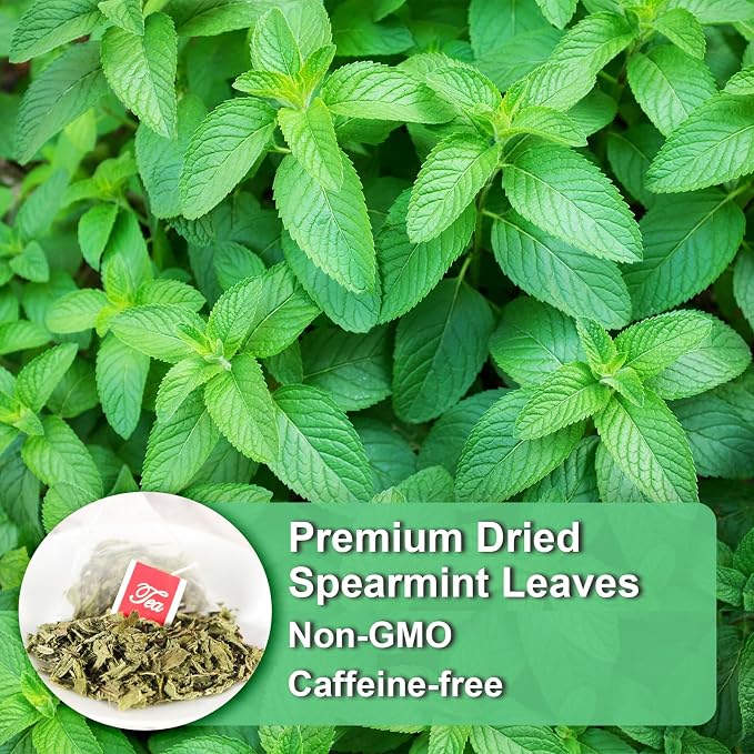 FullChea - Spearmint Tea Bags, 40 Teabags, 1.5g/bag - Premium Spearmint Leaves - Non-GMO - Caffeine-free - High in Antioxidant & Support Digestion (Pack of 2)