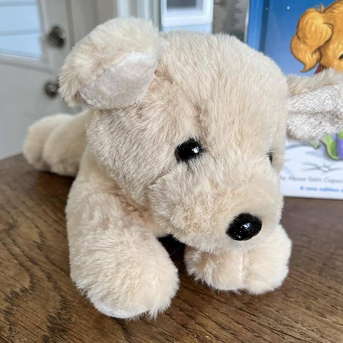 Biscuit Storytime Set: Educational Book and Plush Puppy Toy Combo for Kids and Toddlers - Bright, Colorful, and Interactive - 6.5 x 8 Book and 9.5" Stuffed Animal