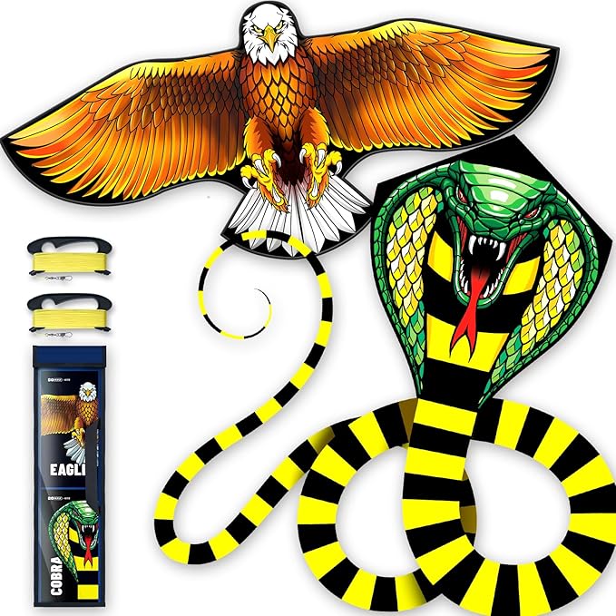Kite for Ages 8-12, Easy to Fly and Assemble Rocket Kites for Beginner, Single Line String Professional Kites for Beach and Outdoor Activity