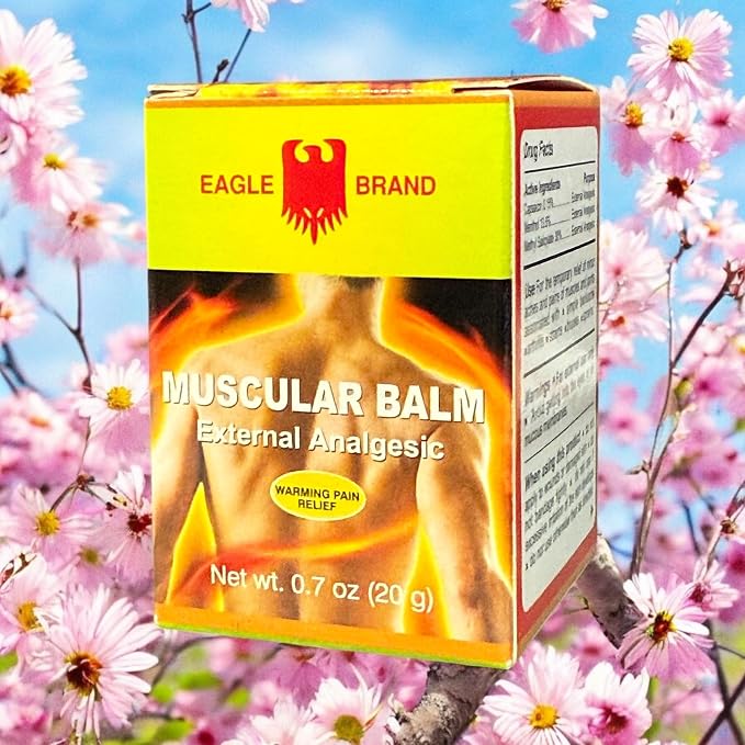 Case Set - Dozen Muscular Balm Eagle Essentail Oil - 12 Hu Dau Xoa Bop Balm Muscular Hieu Con O - 20g per Jar with 12 Jars per Order
