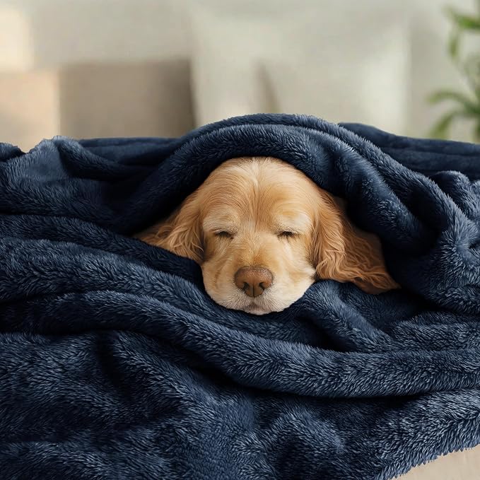 Exclusivo Mezcla Fuzzy Plush Fleece Bed Blanket Queen Size, Navy Blue | 90x90 Inches, Super Soft and Cozy Bed Blanket, Fluffy Decorative Bedding for Livingroom, Bedroom, All Season