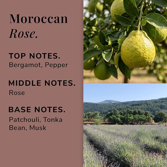 Osmology Moroccan Rose Aromatherapy Candle – Rose, Tonka Bean & Musk Scented Candle, Plant-Based Wax in Amber Apothecary Jar, 7 oz, 50 Hour Burn Time, Floral & Musky Candle