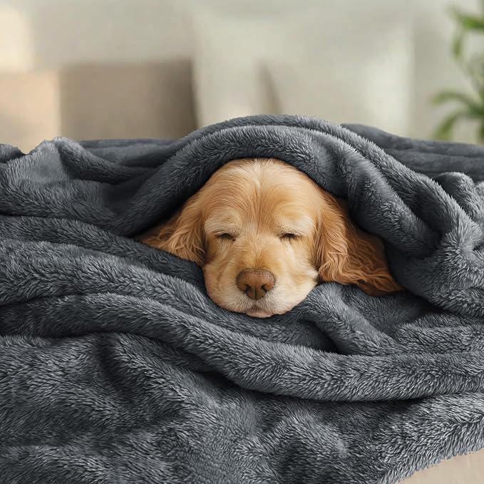 Exclusivo Mezcla Fuzzy Plush Fleece Bed Blanket King Size, Dark Grey | 104x90 Inches, Super Soft and Cozy Bed Blanket, Fluffy Decorative Bedding for Livingroom, Bedroom, All Season