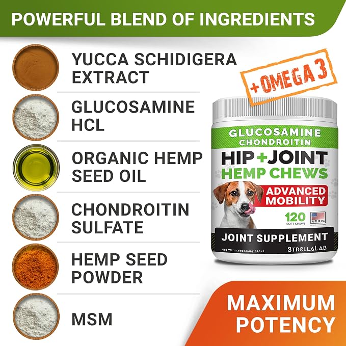 Large Breed Hemp + Glucosamine Dog Joint Supplement - Hemp Chews for Dogs Hip Joint Pain Relief - Omega 3, Chondroitin, MSM - Advanced Mobility Hemp Oil Treats for Large Dogs - Made in USA - 240 Ct