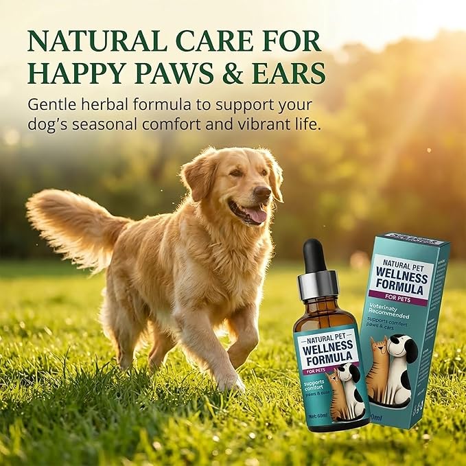Yeast Infection Treatment for Dogs, Natural Dog Ear & Paw Infection | Soothes Seasonal Skin Irritation, Natural for Skin and Ears Itch, Gentle Daily Dogs & Cats Care, Convenient To Use, 2 Fl Oz
