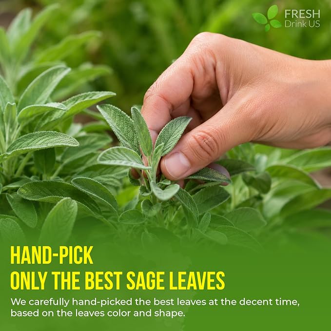 FreshDrinkUS, 75 Sage Leaf Tea Bags, 100% Natural & Pure from Sage Leaves. Loose Leaf Sage Herbal Tea. Sage Leaf Tea. Made with Natural Material Tea Bags. No Sugar, No Caffeine, No Gluten, Vegan.
