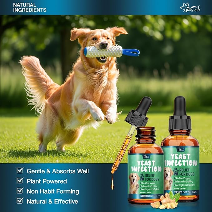 Yeast Infection Treatment for Dogs,Dog Ear Infection Treatment,Itchy Ear,Skin,Paws&Relief-Reduces Inflammation&Relieves Irritation,Dog Supplement Drops with Multivitamins Probiotics,60ml(1 Pack)