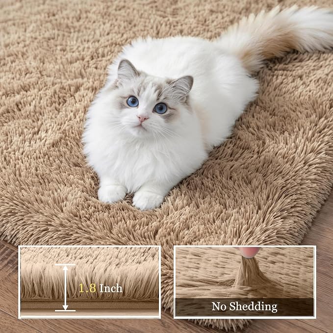 Fluffy 5x7 Area Rugs for Living Room Bedroom: Ultra Soft Shag Rug Non-Slip Non-Shedding Small Plush Bedside Rug Indoor Floor Carpets for Kids Room Playroom Entryway Nursery Dorms Home Decor Beige