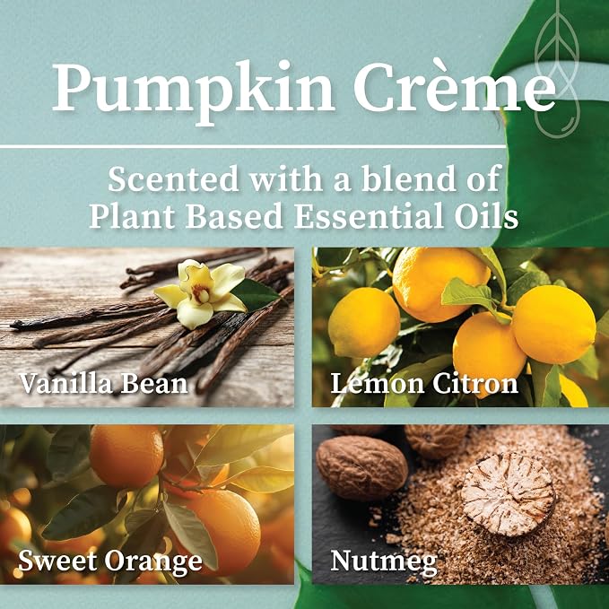 Hemlock Park Pumpkin Creme Apothecary Scented Candle | Crackling Wood Wick, Botanical Fragrance & Coconut Apricot Wax | Up to 80 Hour Burn Time | 16 oz | Made in USA