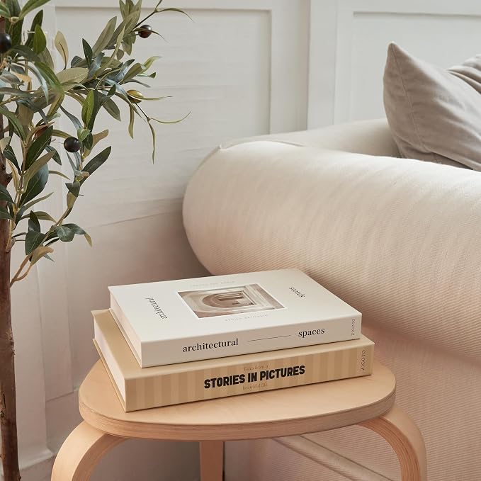 Beautiful Decorative Books - Set of 2 Boxes Enhance Your Coffee Table, Bookshelf or Mantel Decor - Aesthetic Fake/Faux Books for Modern Home Decoration, Photo Storage and as a Keepsake Box