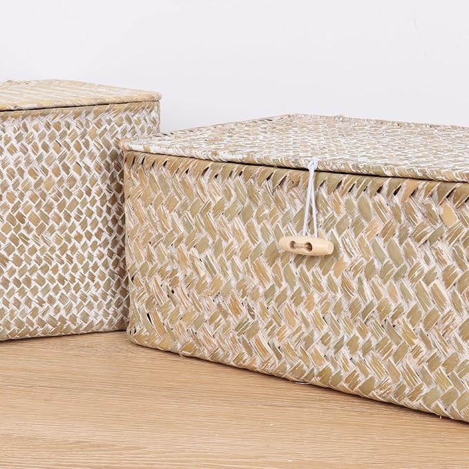 FEIALNDUO Wicker Shelf Baskets with Lid,Seagrass Storage Basket Bins Rectangular Handwoven Basket Boxes for Shelves Desktop Home Organizer (Whitewash, Large)