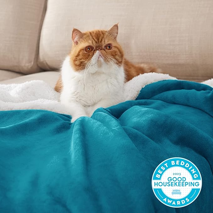 Bedsure GentleSoft Sherpa Fleece Throw Blanket for Couch, Non-Heated, Thick and Warm Throw for Women and Men, Soft Fuzzy Plush Blanket for Winter, Teal, 50x60 Inches