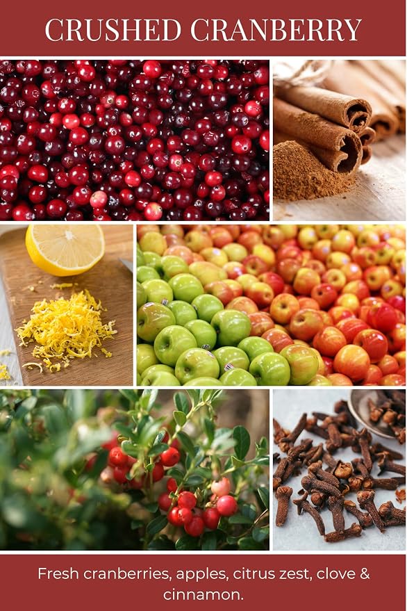 Eco Candle Co. Crushed Cranberry Tea Light Candles, 10-Pk, 9 Hr Burn Time | Scents of Fresh Cranberries, Apples, Citrus, Clove & Cinnamon - Recyclable, No Lead, Kraft Paper Label & Lid, Hand Poured