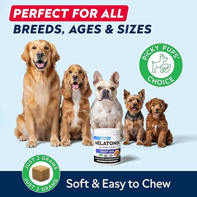 STRELLALAB Melatonin for Dogs to Sleep 6mg - Doggie Sleep Aid Treats - Sleeping Pills for Anxiety - Extra Strength Calming Chews Large & Small Breed Help Sleep at Night - Made in USA - 60Ct