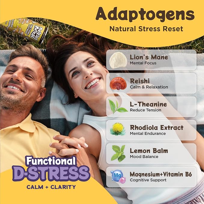 Melting Forest Functional Mushroom D-Stress - Adaptogen Drink with L-Theanine, Reishi, Lion's Mane & Magnesium - Relaxation Drinks for Stress Relief - 0 Sugar, 5 Calories - Coconut Pineapple (12-Pack)