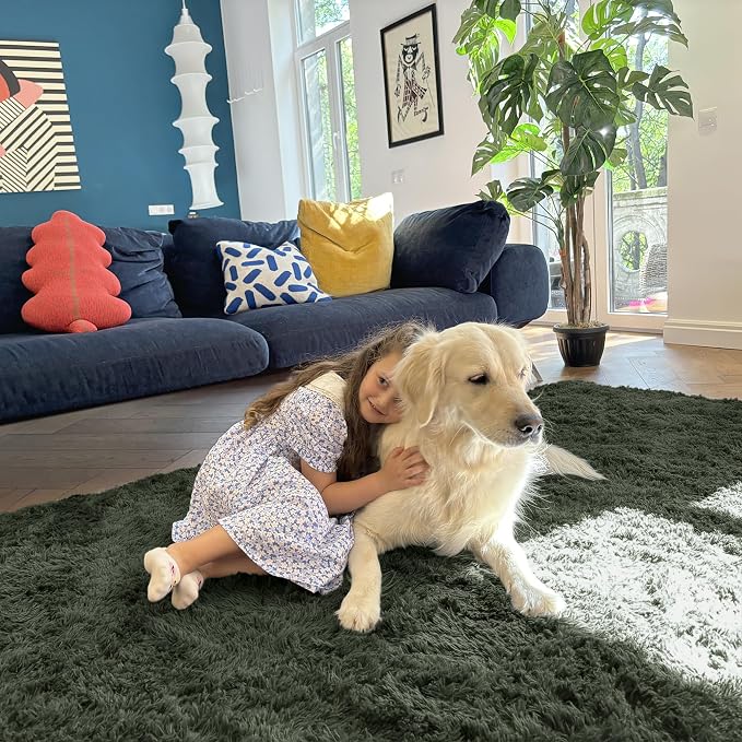 OLANLY 5x7 Machine Washable Large Area Rugs for Living Room, Bedroom, Soft Fluffy Shaggy Bedside Rug, Indoor Floor Carpet for Kids Girls and Boys, Dorms, Nursery, Home Decor Aesthetic, Olive Green