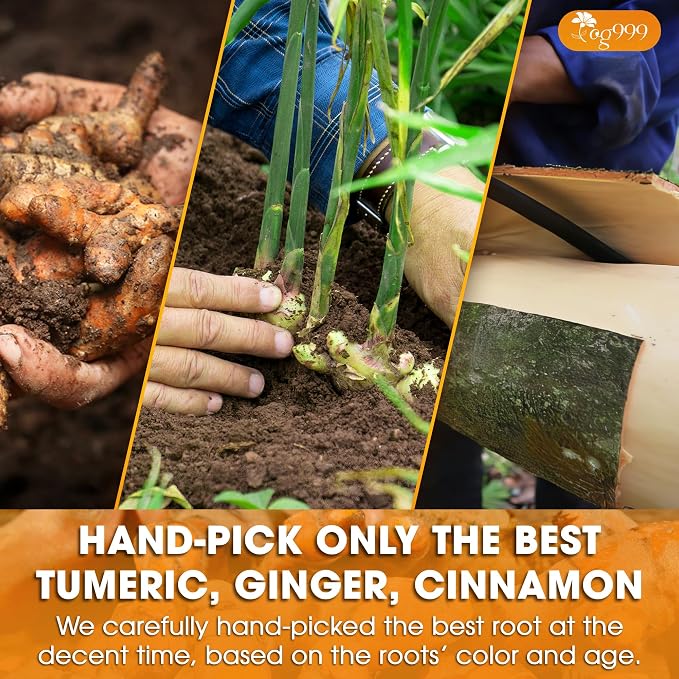 TOG999, Premium 6oz Ginger Turmeric Cinnamon Loose Leaf Herbal Tea - Premium Quality Spiced Herbal Blend – Caffeine-Free, Non-GMO, Natural Dried Roots and Bark. Vegan-Friendly.