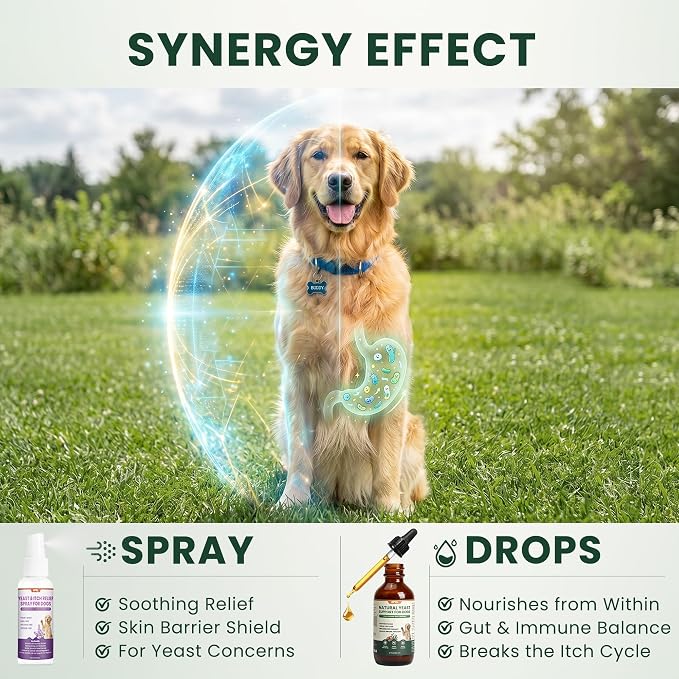 APXL 2-in-1 Dog Yeast Infection Treatment Kit: Soothing Anti-Itch Spray + Yeast Infection Drops, Yeast Infection Treatment for Dogs, Plant Herbal Itch Relief for Yeast Issues-1.69oz Spray&2.03oz Drops