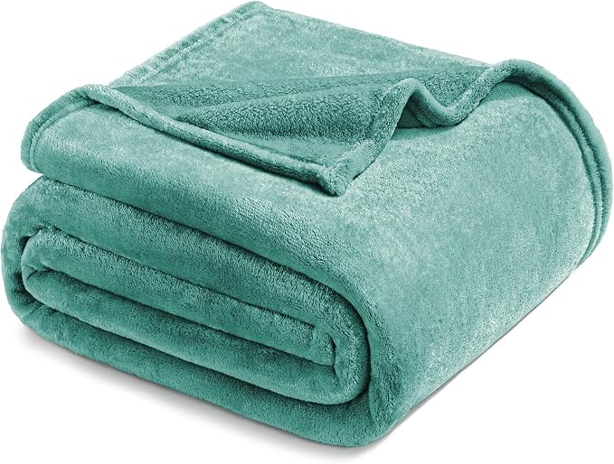 Exclusivo Mezcla Soft Fleece Blanket Queen Size for Bed, Celadon | 90x90 Inches, Double-Sided Brushed Flannel, Lightweight Plush Cozy Blanket for Home Decor, All Season, Machine Washable