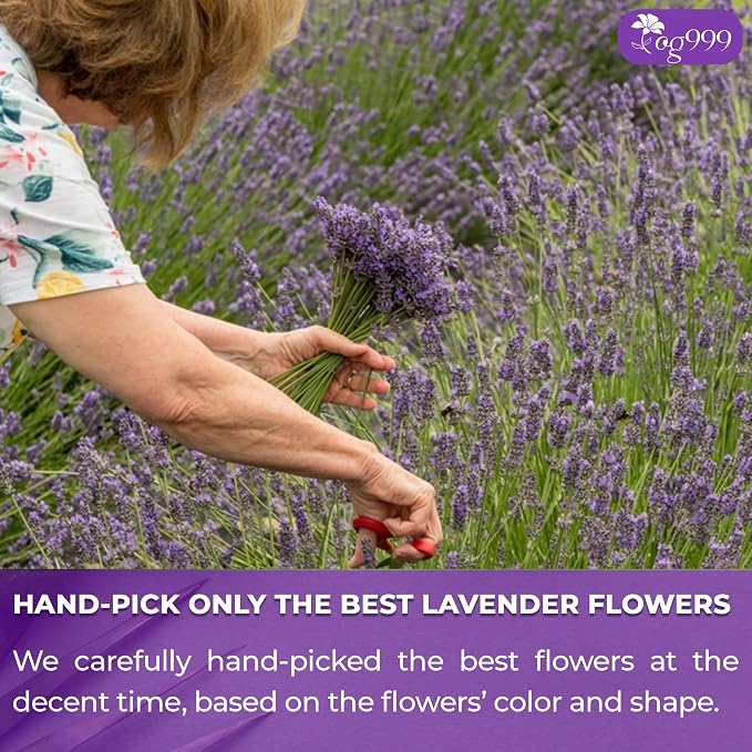 TOG999, Premium 60 Lavender Flower Tea Bags, 100% Natural & Pure. Loose Flower Lavender Herbal Tea. No Sugar, No Caffeine, No Gluten, Vegan.