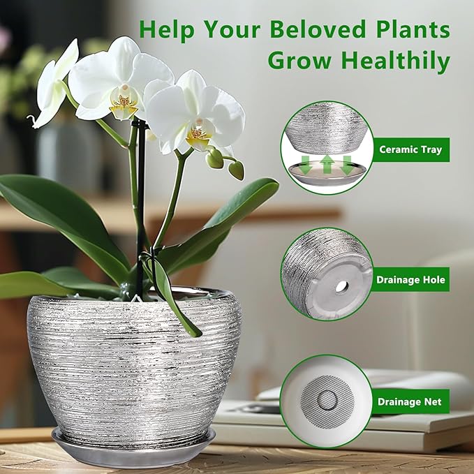 Ceramicfor Ceramic Planter - 6 Inch Plant Pot Indoor with Drainage Hole and Saucer Outdoor Pot for Plants Round Decorative Planter Modern Mid-Century Flower Pot for Office Decor Silver