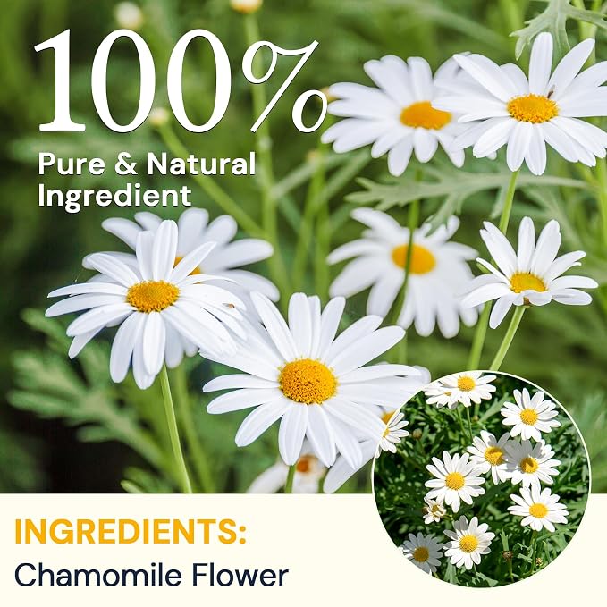 Chamomile Tea Bags, Chamomile Flower Herbal Tea with Sugar-Free, Caffeine-Free, 80 Teabags