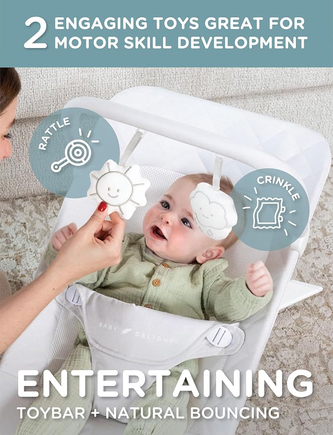 Baby Delight Alpine Deluxe Portable Bouncer | Infant | 0 – 6 Months | Driftwood Grey