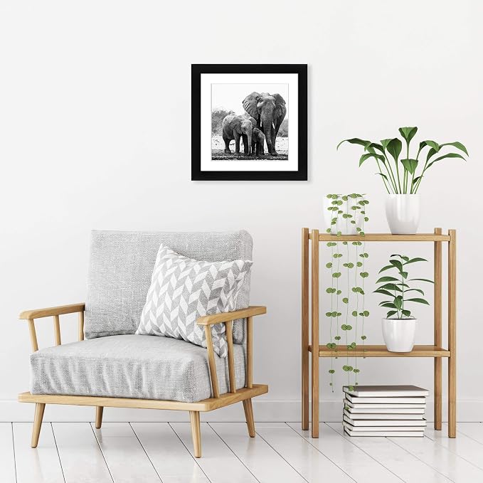 Americanflat 11x11 Picture Frame with Shatter-Resistant Glass - Use as 8x8 Frame with Mat or Display 11x11 Photo Without Mat - Signature Collection - Square Frames for Wall Display - Black | Shatter-resistant glass, sawtooth hangers included, use with ...