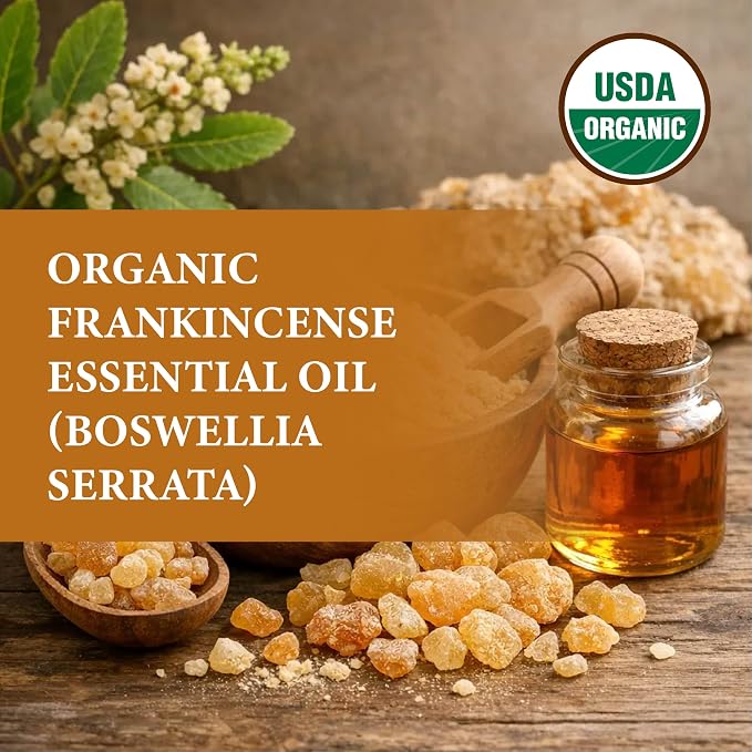 Organic Frankincense Serrata Essential Oil - Steam Distilled Boswellia Serrata Oil, Warm Woody Aroma, Base Note Essential Oil for Aromatherapy, Skincare and DIY Cosmetic Blends - 1 Fl oz