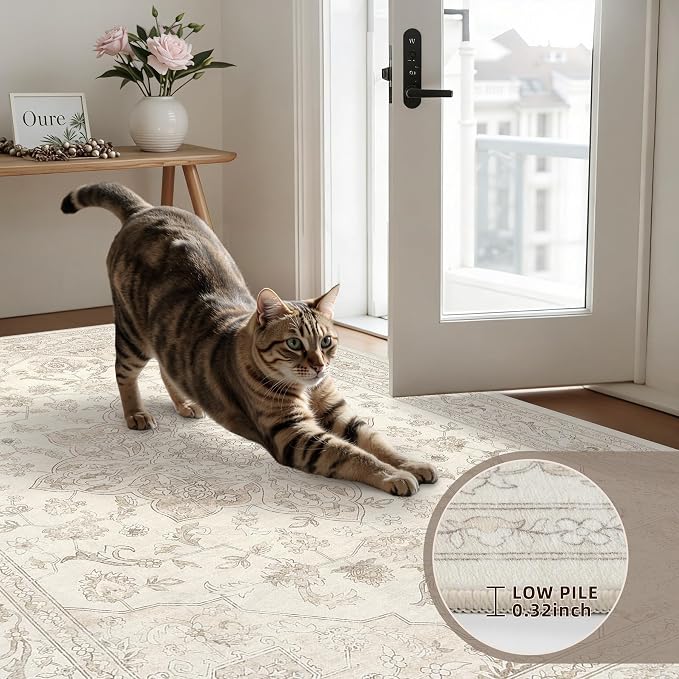 6x9 Area Rugs for Living Room: Vintage Boho Neutral Washable Rug Indoor Soft Large Area Rug Carpet for Bedroom Nursery Farmhouse Dining Room Office Floor Non-Slip Low Pile Under Table Rug Beige White