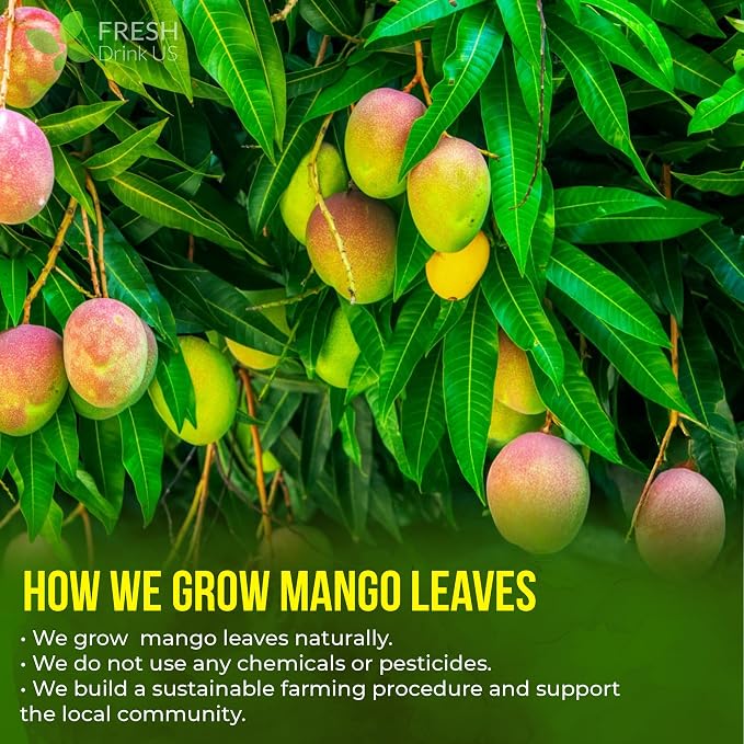 FreshDrinkUS, 8 oz Premium Dried Mango Leaves (Mangifera indica) – Cut & Sifted Loose Leaf for Herbal Tea – Natural Botanical Leaves for Hot & Iced Infusions – Non-GMO, No Additives, Resealable Pouch