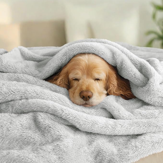 Exclusivo Mezcla Fuzzy Plush Fleece Bed Blanket Twin XL Size, Light Grey | 90x66 Inches, Super Soft and Cozy Bed Blanket, Fluffy Blanket for Bed, College Dorm Room Essentials, All Season