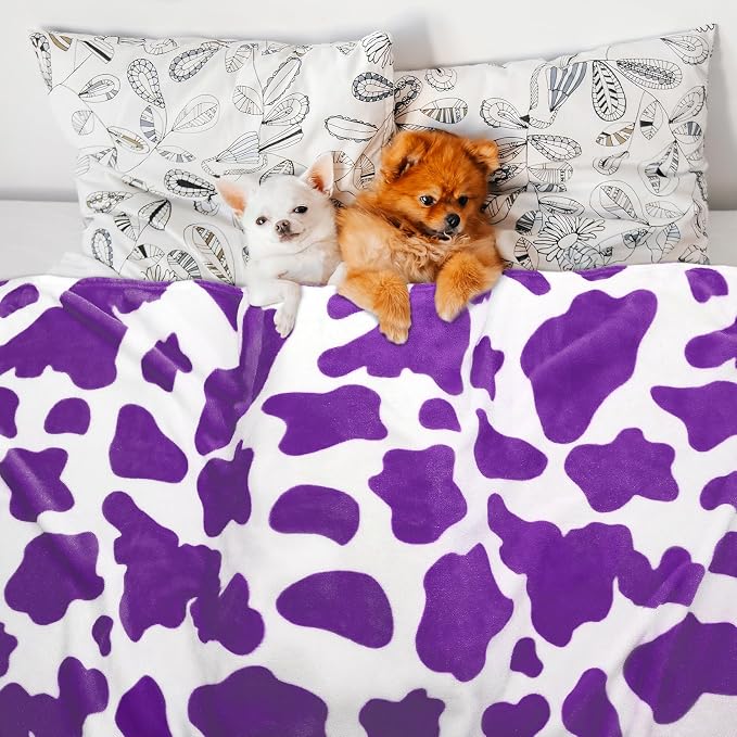 Purple Fleece Blanket for Couch, Cozy Soft GentleSoft Throw Blanket for Women Girls, Lavender Purple Cute Small Throws, Birthday Gifts for Women Mom Sister Best Friend