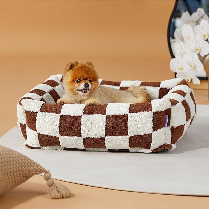 Lesure Cute Dog Bed for Small Dogs - Washable Puppy Beds,Cozy Rectangle Orthopedic Pet Sofa with Jacquard Shaggy Plush & Anti Slip Bottom,25x21x7inches