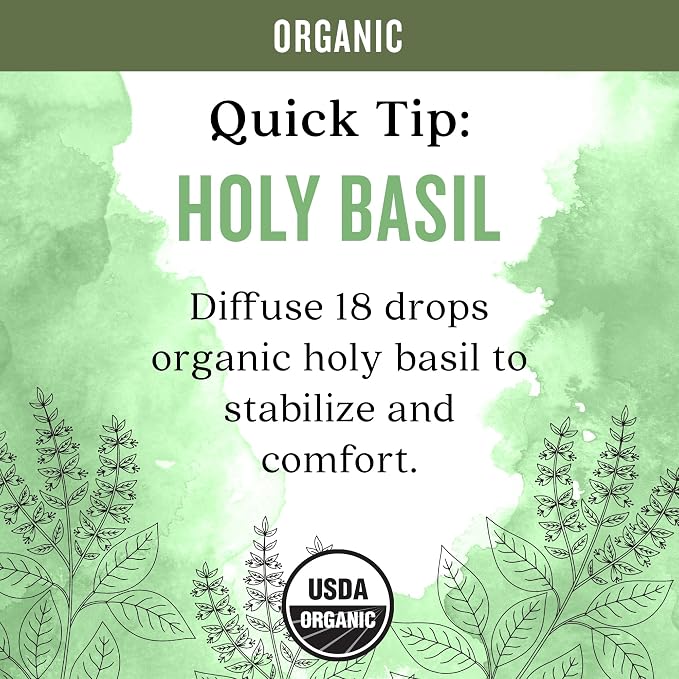 Aura Cacia Organic Holy Basil Tulsi Pure Essential Oil, Vegan, Cruelty Free, 0.25 Fluid Ounces (Pack of 3)