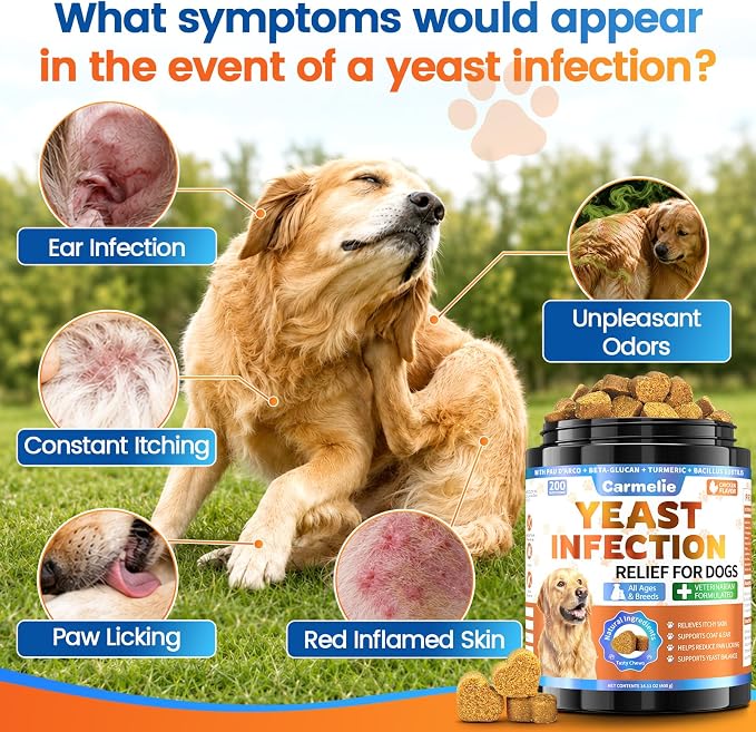Yeast Infection Treatment for Dogs, Support Healthy Itch Relief, Ear Paw Discomfort Care Itch Relief for Dog