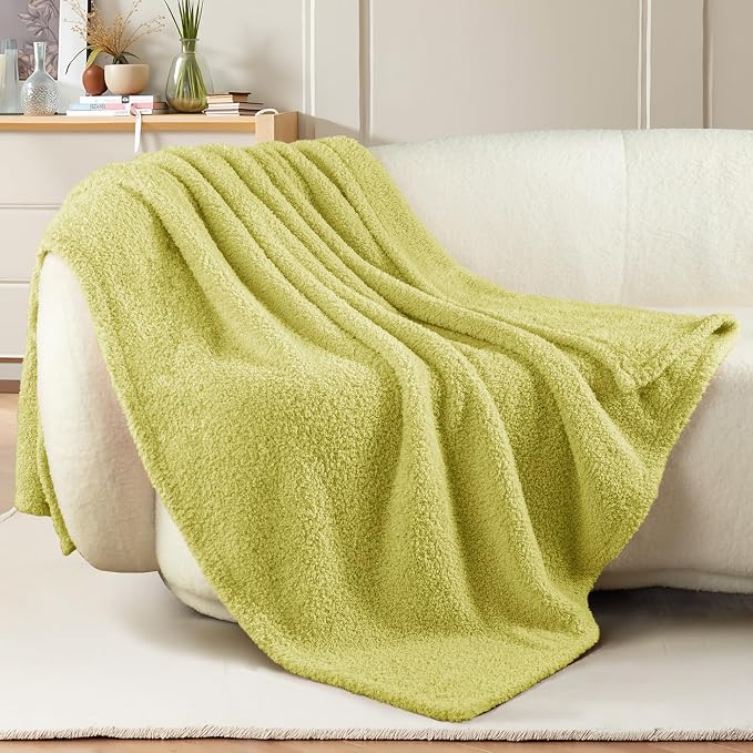 Exclusivo Mezcla Fleece Throw Blanket for Couch and Sofa, 50" x 60" | Super Soft and Cozy Fluffy Blanket for Women, Lightweight and Fuzzy Throw for Home Decor, All Season, Light Green
